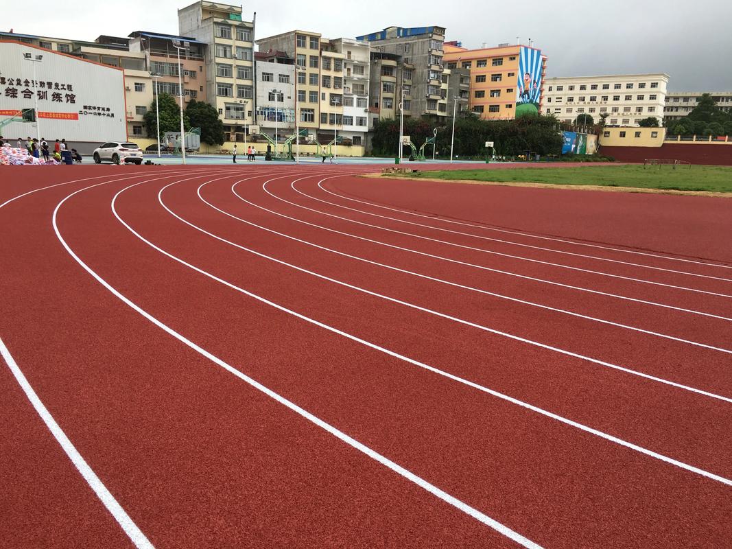 洛阳市EPDM颗粒塑胶跑道材料 - 哪里好